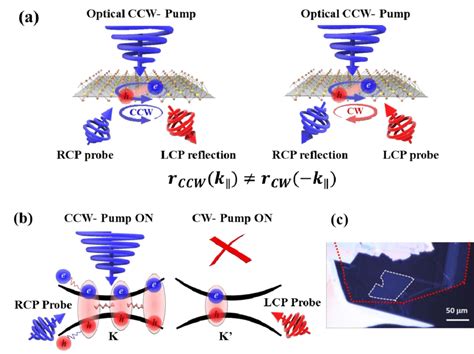 Photoinduced Nonreciprocity In Tmds A Schematic Illustration Of