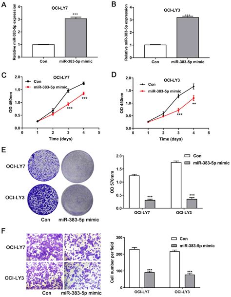 Microrna‑383‑5p Predicts Favorable Prognosis And Inhibits The