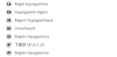 Hypogastric region - e-Anatomy - IMAIOS