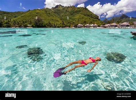 Luxury Paradise Travel Vacation Bikini Woman Relaxing Snorkeling In
