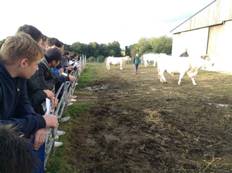 S Lections Cjaj Concours De Jugement Des Animaux Par Les Jeunes