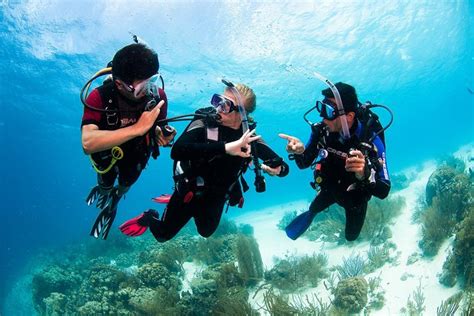 Playa Del Carmen Padi Discover Scuba Diving With Instructor