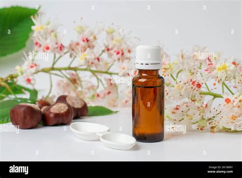 Bottle Of Horse Chestnut Extract Essence Of Chestnut Flowers