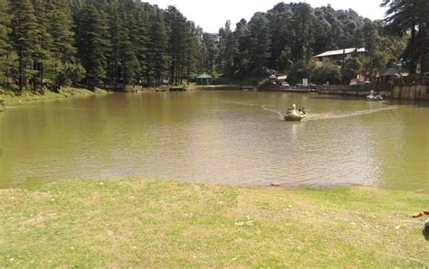 Dharamshala Full Day Tour Getyourguide