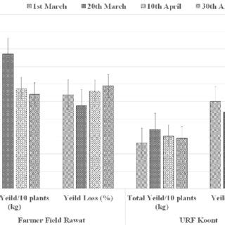 Influence Of Sowing Dates On Yield And Yield Loss Of Marketable Brinjal