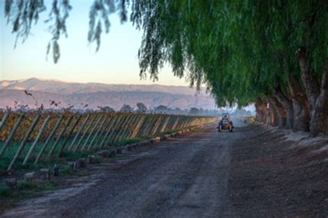 Grupo Wine Traz Para O Brasil Exclusividade Vinhos Argentinos