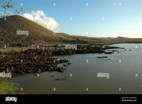 Volcanic Landscape Ecuador Galapagos Islands Stock Photo Alamy