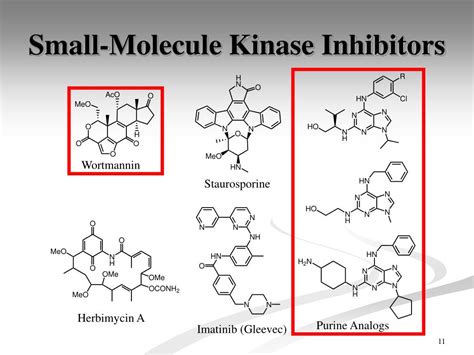 PPT Total Synthesis And Rational Design Of Protein Kinase Inhibitors