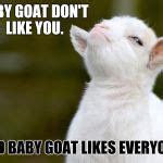 Proud baby goat Meme Generator - Imgflip