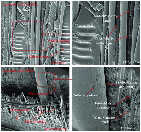 Typical Damage Morphology Of The Impacted Laminates Obtained By Sem