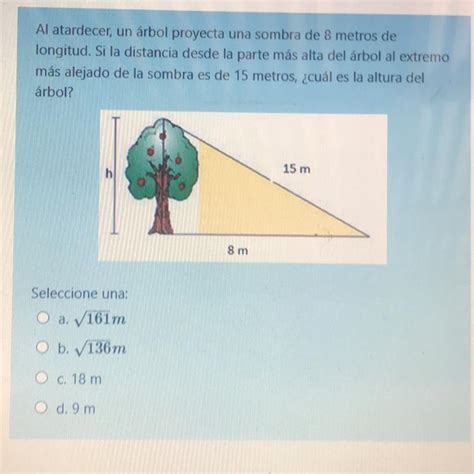 Ayuda es para hoy Al atardecer un árbol proyecta una sombra de 8