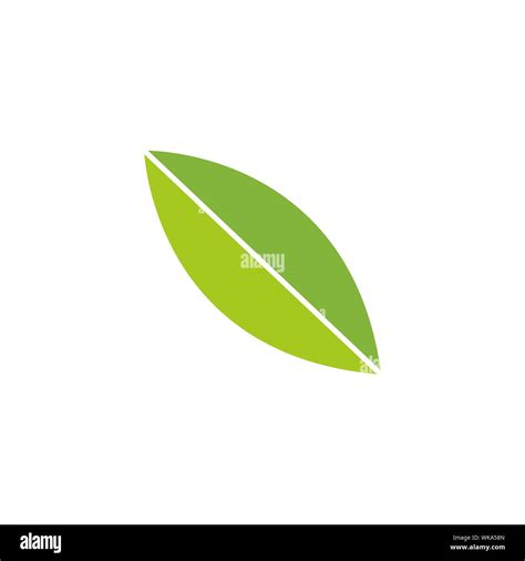 Leaf Graphic Design Template Vector Isolated Illustration Stock Vector