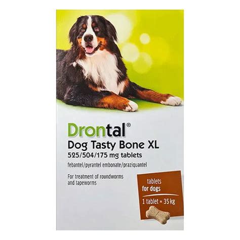 Buy Drontal Plus For Medium Dogs 31 10 Kg At Lowest Price