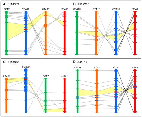 Conserved Synteny Of Genomic Regions Of The Four Unannotated Equine