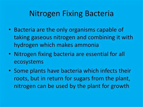 Ppt Nitrates Powerpoint Presentation Free Download Id 1920327