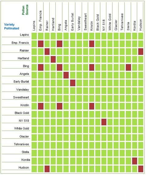 Duke Blueberry Cross Pollination Chart