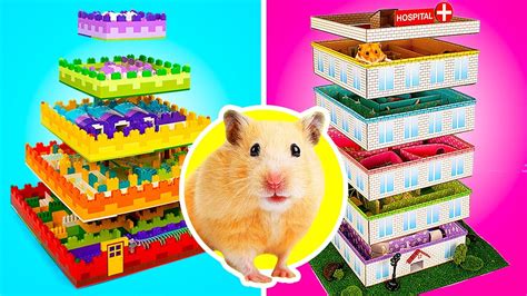 Diy Hamster Mazes Escape The Hamster Maze Youtube