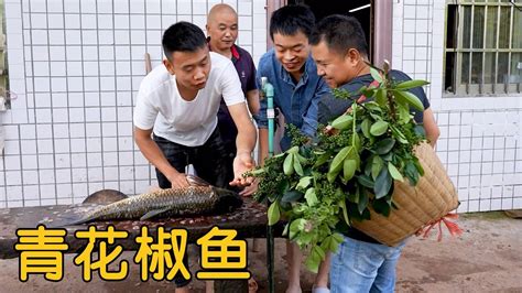 【农村四哥】幺舅送来15斤大鱼，四哥摘青花椒烧两大盆，麻辣鲜香真过瘾 Youtube