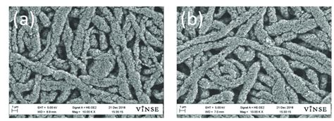 Sem Images Of Compacted Electrospun Single Fiber Si Paa C Anodes With