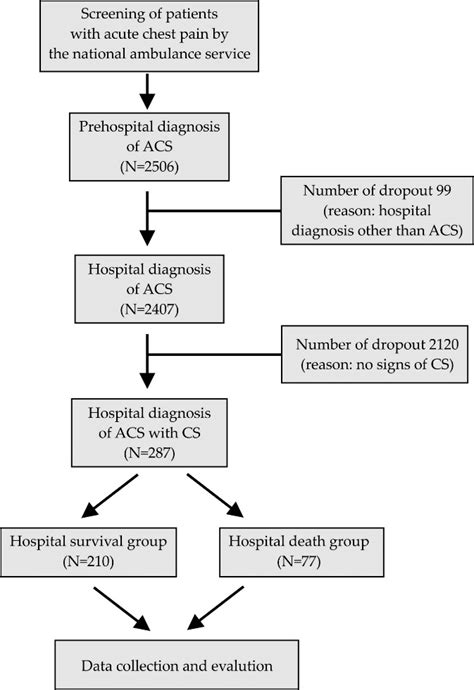 CONSORT Diagram Showing Patient Flow At Each Stage Of The Data