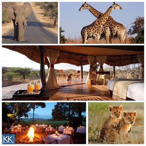 For This Favorite Honeymoon Spot We Travel Around The World To South Africas Kruger National