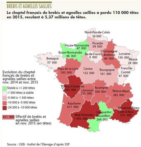 La filière Ovin Viande Evolution et Résultats PDF Free Download