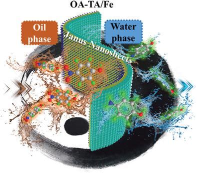 独立式 Janus 纳米片超快自组装和多功能双相应用 Advanced Functional Materials X MOL