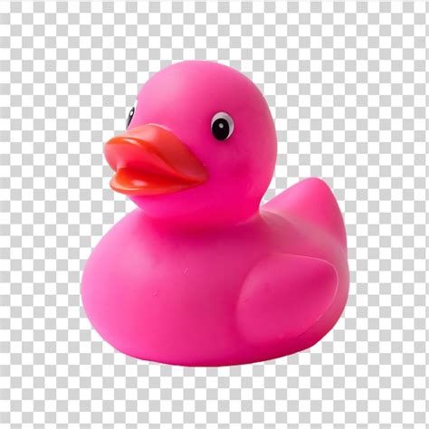 Juguete De Pato De Goma Rosa Aislado Sobre Un Fondo Transparente