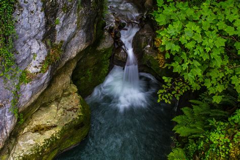 Fotos gratis árbol naturaleza bosque rock cascada verde selva