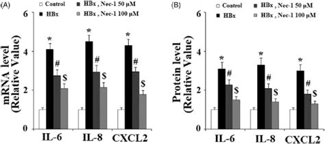 The Rip1 Inhibitor Necrostatin 1 Nec 1 Reduced Hbx Induced