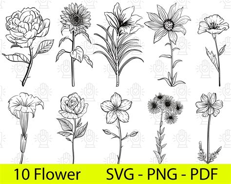 Wildflowers Svg Wildflower Border Svg Floral Svg Flower Meadow Svg