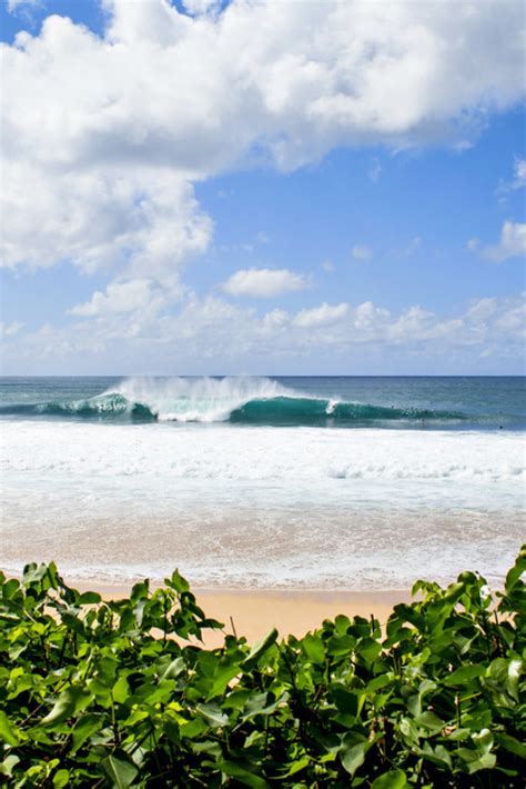 Koa Rothman at Pipe Photo: Brent Bielmann - high enough to see the sea