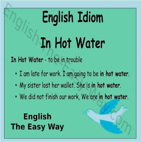 English Idiom In Hot Water With An Image Of A Bird And The Words I Am