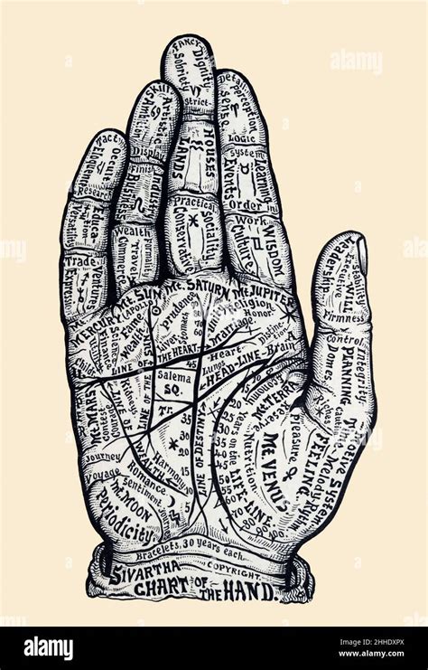 Palmistry Chiromancy Hand Hi Res Stock Photography And Images Alamy