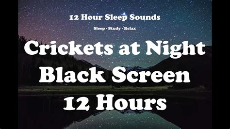 Crickets At Night Black Screen 12 Hours Of Chirping Crickets To Relax And Fall Asleep Quickly