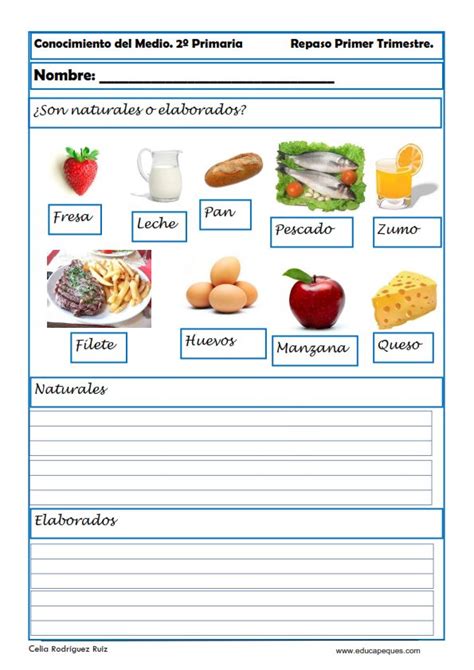 Clasificacion De Los Alimentos Para Segundo De Primaria Fichas Themelower