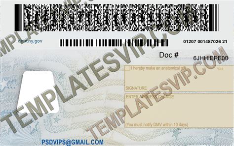 New York Ny Drivers License Psd Template Download Nisca 2022