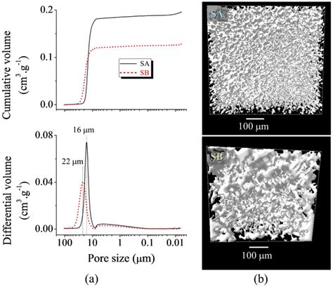 A Pore Size Distribution Assessed By MIP And B 3D Models Based On