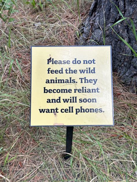 The real reason you shouldn’t feed the animals : r/funny