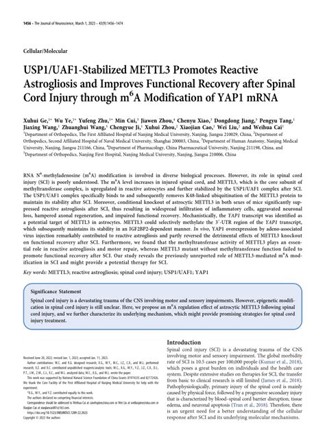 Pdf Usp Uaf Stabilized Mettl Promotes Reactive Astrogliosis And