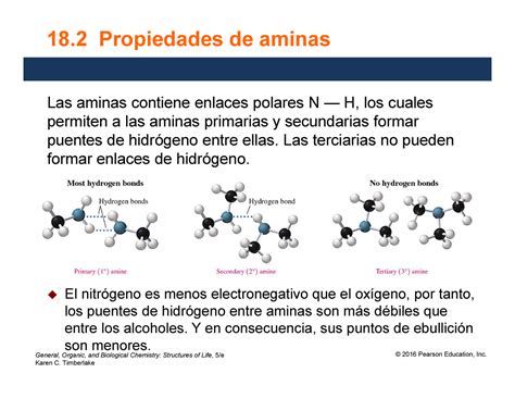 ACtividad 10 Propiedades De Aminas General Organic And Biological