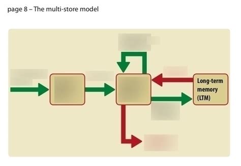 Memory Diagram Quizlet