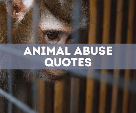 60 Powerful Animal Abuse Quotes To Help Stop Cruelty