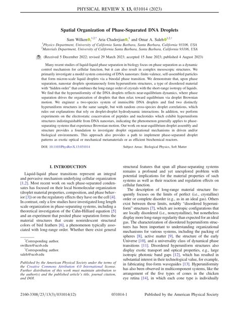 Pdf Spatial Organization Of Phase Separated Dna Droplets