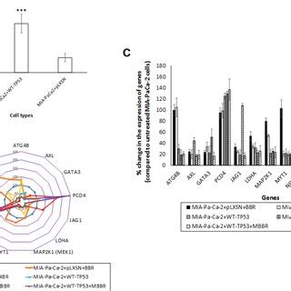 Expression Profile Of Mir A In Human Pdac Samples A Mir A