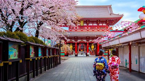 Tokyo Vs Osaka Your Guide To Choosing The Perfect Japan Adventure 2024