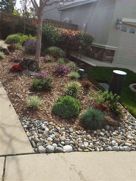 Drought Tolerant Landscaping Folsom And Sacramento