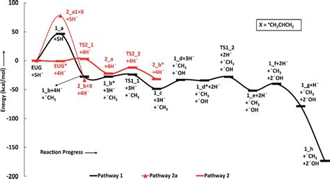 Potential Energy Surfaces Of Reaction Pathways 1 2 And 2a Download