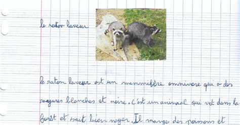 Ecole Dely Sergent Les Animaux D Am Rique Du Nord Suite