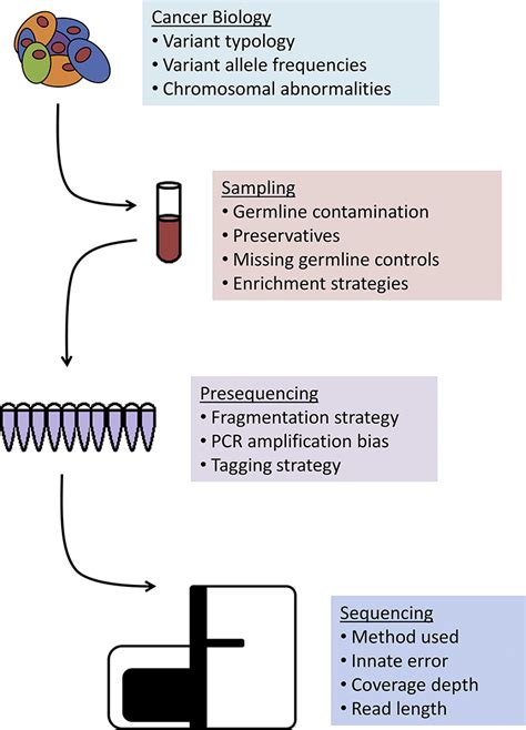 Calling Variants In The Clinic Informed Variant Calling Decisions